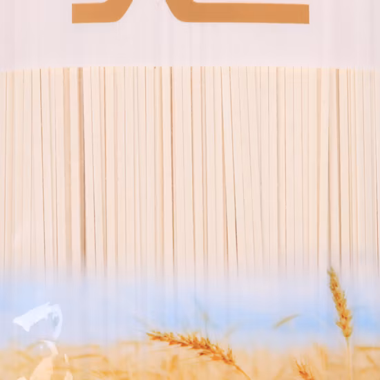 Lvshuang Instant Noodles Konjac Noodles Health Food/Weight Loss Noodles Shirataki Udon Buckwheat Soba Noodles